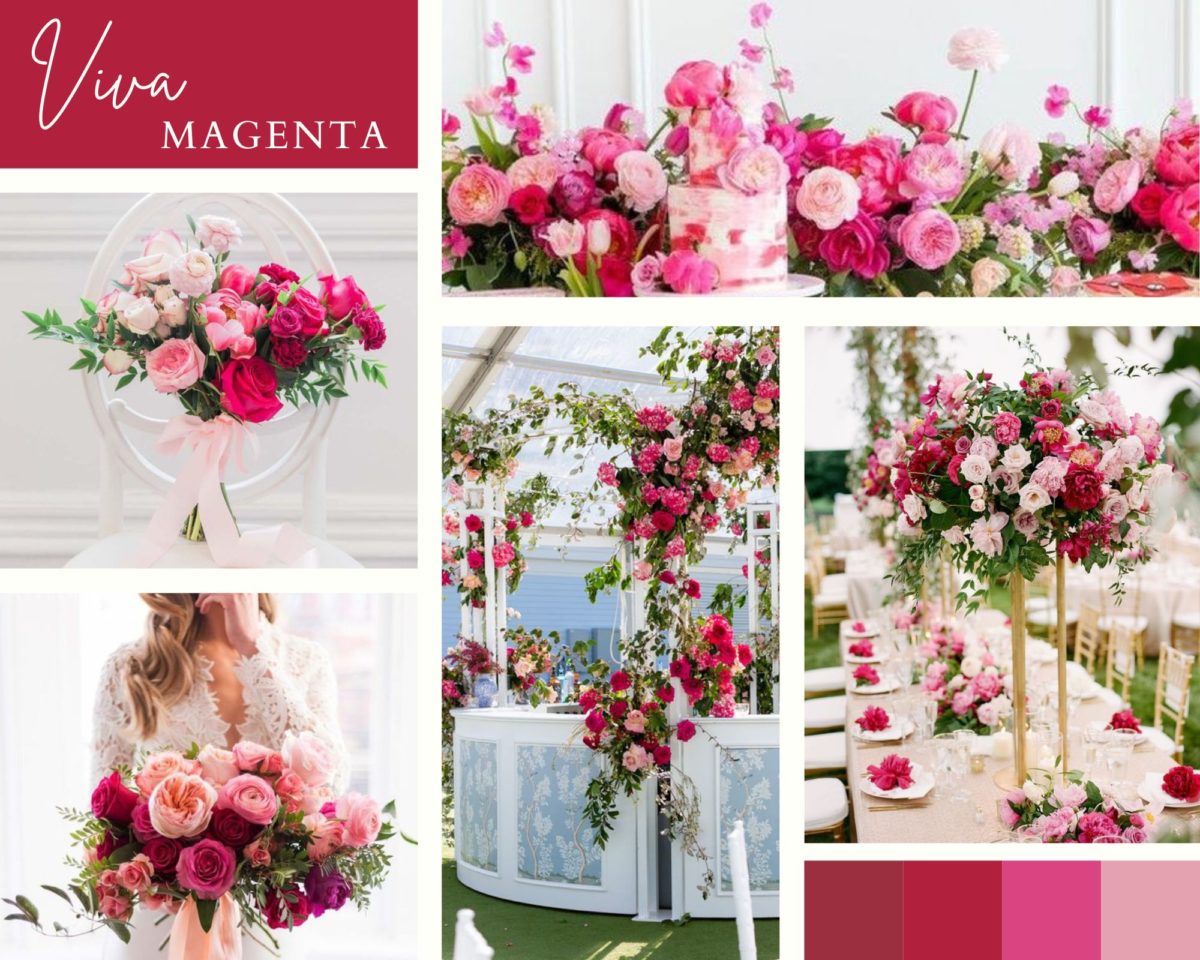 Mood Board for 2023 wedding floral trends using floral images with magenta colored flowers